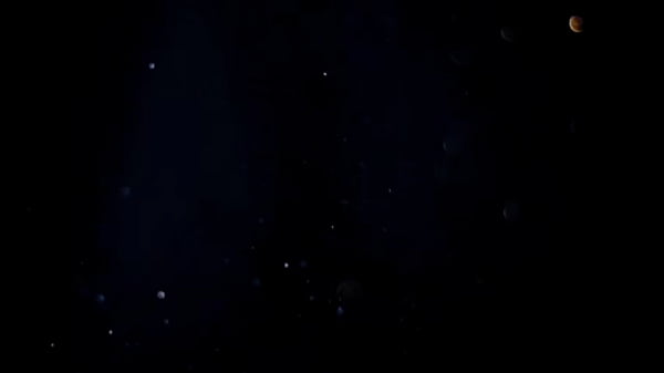 Essa MILF brasileira tem um rabão delicioso e adora sexo grupal